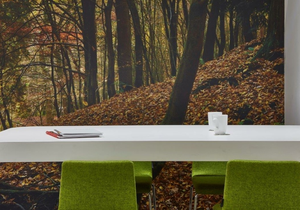 An office desk in front of a woodland wall in the office of Springfield Papers, Bristol.