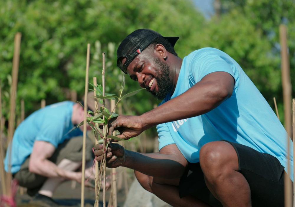 African American men volunteer helpers planting trees in mangrove.