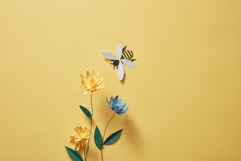 Flowers with many colours and a paper bee on light yellow background. Empty area for product or text. Graphic design for spring.